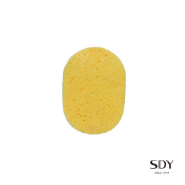 SP 19002